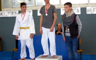 Judimeisterschaften 2013